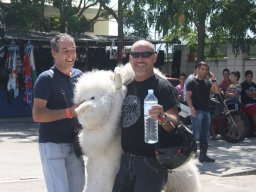 XVII Concentracion - 2010